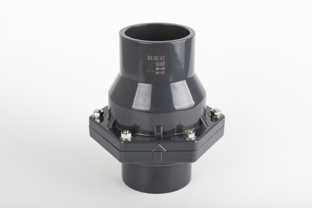 皇桐镇翻板式止回阀